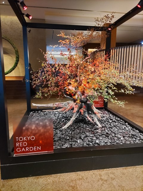 DSC_1363_R DSC_1363_R-e1738714315920